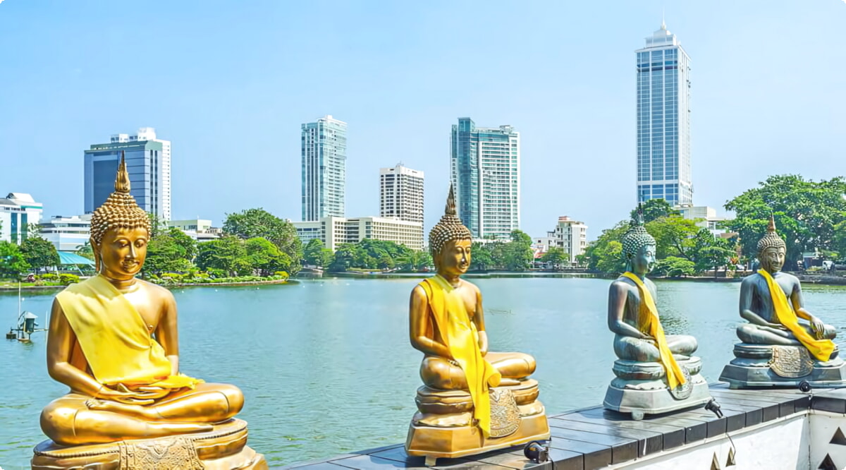 Nuestro inventario incluye una amplia variedad de vehículos.